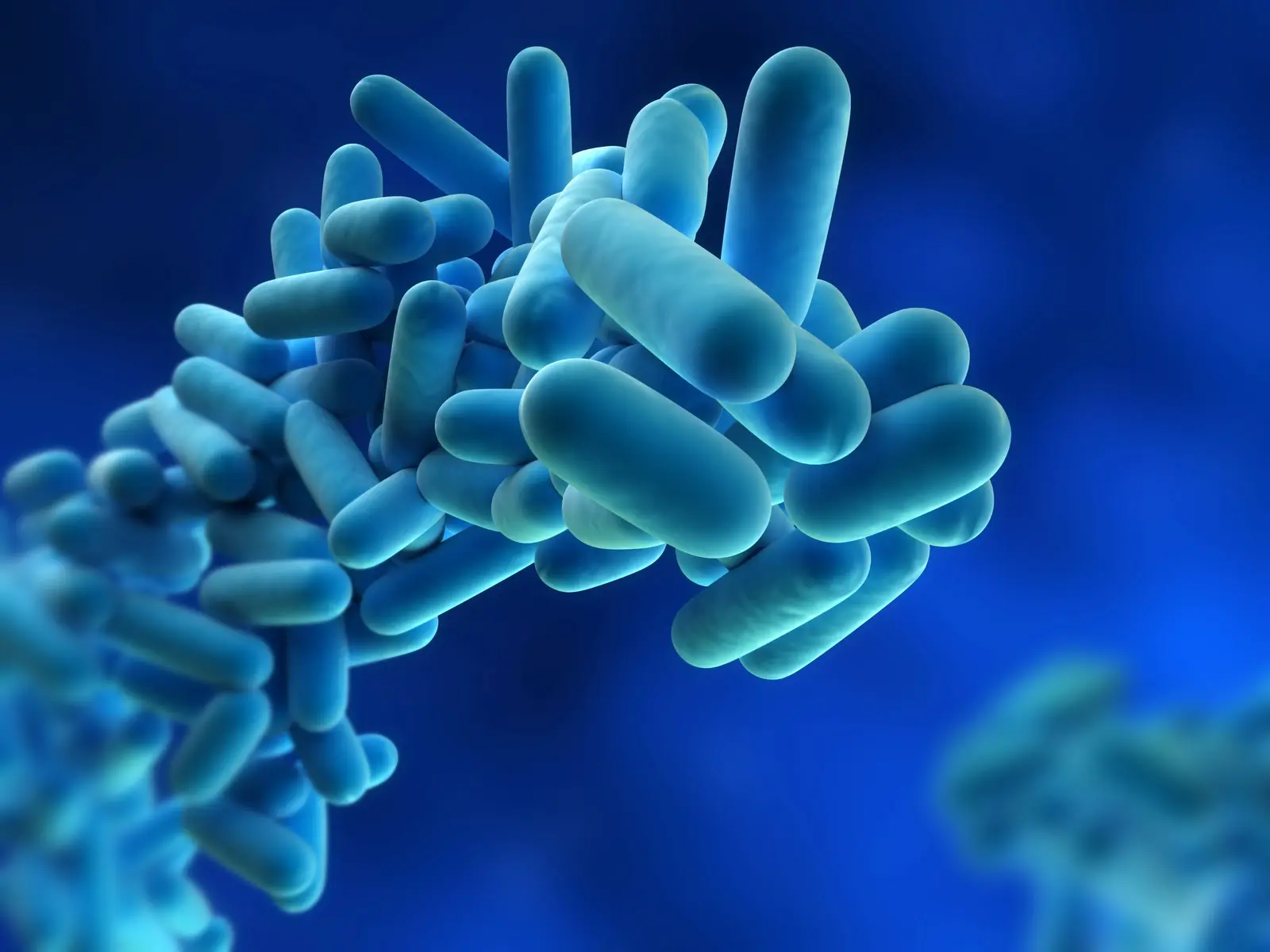 condizionatori e legionella